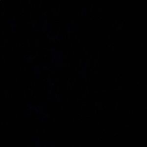 Meet your Posher, Colin